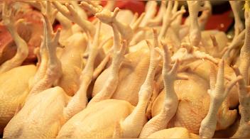 Retiran kilos de pollo por contaminación con metal