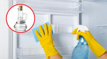 Este truco casero con vinagre en el refrigerador se volvió viral: ¿funciona realmente?