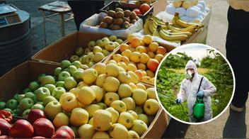 Frutas y verduras contaminadas con pesticidas: cómo reconocerlas, qué riesgos tienen y por qué lavarlas no basta