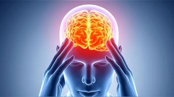 Los 4 alimentos que parecen inofensivos pero pueden dañar tu cerebro, según un neurólogo