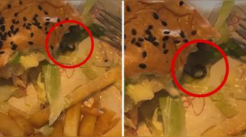 Joven encuentra gusano en su hamburguesa y estalla de irá: "Qué repugnante"