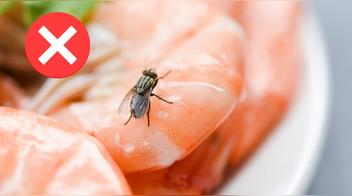 Las moscas de la fruta, también conocidas como drosophila melanogaster, son atraídas por azúcares y fermentación. Aunque parezcan imposibles de erradicar, hay soluciones naturales para mantener tu cocina libre de ellas.