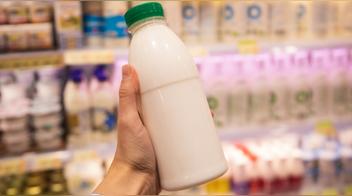 Mejor leche para la salud: cuál elegir según la ciencia