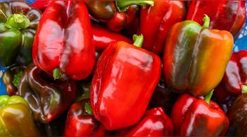 ¿Pimientos macho y hembra? La verdad sobre este mito y cómo elegirlos