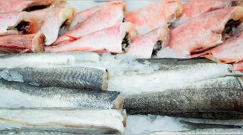 ¿“Con un poco de limón basta”? Cómo saber si el pescado está malogrado