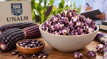 Popcorn morado: UNALM investiga cómo crear canchita de maíz morado