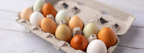 Huevos de corral y de pastoreo: ¿qué los diferencia de los comunes?