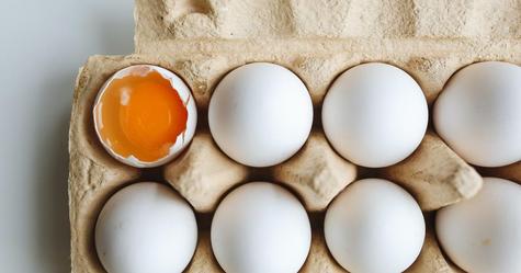 El huevo posee un mecanismo para mantenerse fresco. El huevo posee un mecanismo para mantenerse fresco.