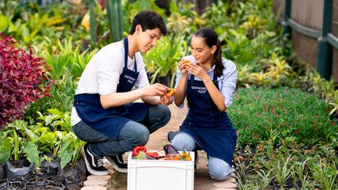 Los egresados de la carrera pueden especializarse en múltiples áreas Los egresados de la carrera pueden especializarse en múltiples áreas