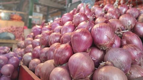 Es la variedad más cultivada en nuestro país.    Es la variedad más cultivada en nuestro país.