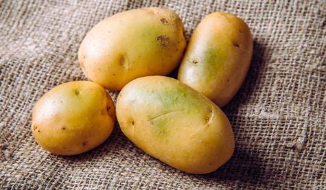 Las manchas verdes en las papas aparecen debido al incremento de solanina. Las manchas verdes en las papas aparecen debido al incremento de solanina.
