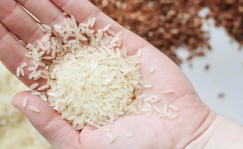 El arroz puede causar obstrucciones El arroz puede causar obstrucciones