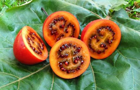  Es reconocido por su delicioso sabor agridulce    