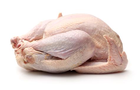La mejor forma de descongelar el pavo es colocándolo en el refrigerador.    La mejor forma de descongelar el pavo es colocándolo en el refrigerador.
