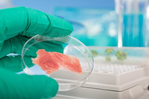 El impacto ambiental de este proceso solo se podrá evaluar adecuadamente una vez que los sistemas de producción se implementen y desarrollen a gran escala.      El impacto ambiental de este proceso solo se podrá evaluar adecuadamente una vez que los sistemas de producción se implementen y desarrollen a gran escala.