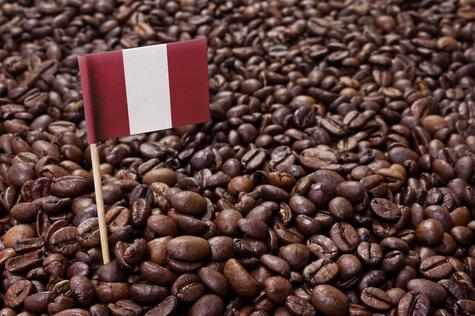El café que se empezó a producir en la selva central no solo era abundante, sino también de buena calidad El café que se empezó a producir en la selva central no solo era abundante, sino también de buena calidad