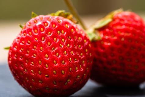 Los puntos amarillos son los aquenios     Los puntos amarillos son los aquenios