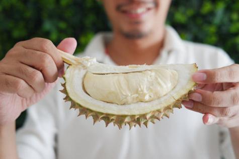Es posible disfrutar del sabor de su pulpa cortándolo en gajos. Es posible disfrutar del sabor de su pulpa cortándolo en gajos.