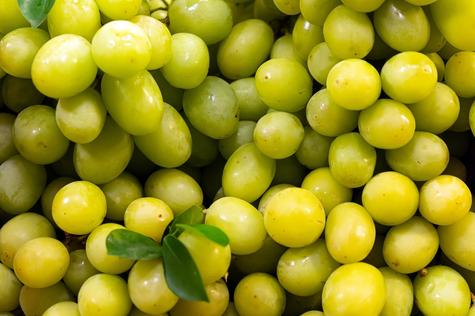 Las doce uvas es un ritual clásico para iniciar bien el año. Las doce uvas es un ritual clásico para iniciar bien el año.