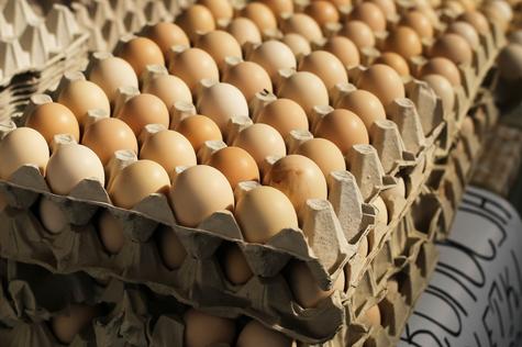 El alza del precio de los huevos se debe a la gripe aviar. El alza del precio de los huevos se debe a la gripe aviar.