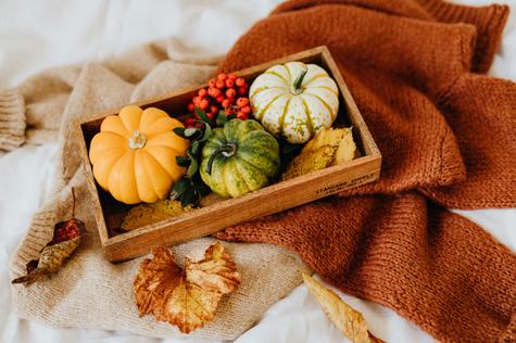 Conocida por ser consumida en periodo de invierno, las calabazas aportan diversos nutrientes. Fuente: Pexels. Conocida por ser consumida en periodo de invierno, las calabazas aportan diversos nutrientes. Fuente: Pexels.
