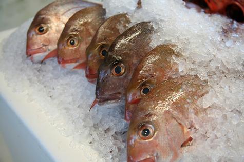 Para reducir la carga de metales, se sugiere retirar la piel, evitar frituras y cocinar al vapor.     Para reducir la carga de metales, se sugiere retirar la piel, evitar frituras y cocinar al vapor.