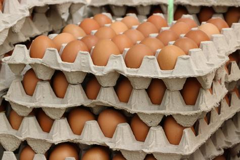 Los huevos son más propensos a absorber los olores del refrigerador. Los huevos son más propensos a absorber los olores del refrigerador.