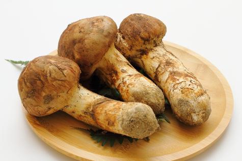  Matsutake japonés.   