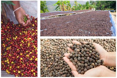 buenazo.pe buenazo.pe