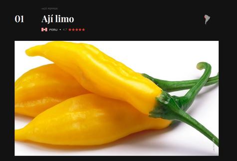 buenazo.pe buenazo.pe