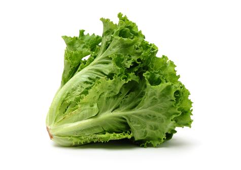 La lechuga es uno de los ingredientes más comúnmente empleados en la elaboración de ensaladas La lechuga es uno de los ingredientes más comúnmente empleados en la elaboración de ensaladas