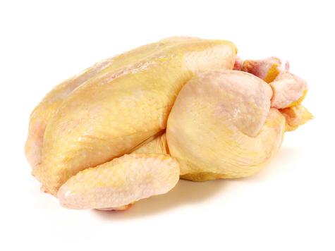 Pollo de color amarillo    Pollo de color amarillo