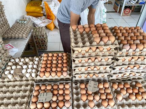 El aumento del precio de los huevos generó su contrabando desde México a Estados Unidos. El aumento del precio de los huevos generó su contrabando desde México a Estados Unidos.