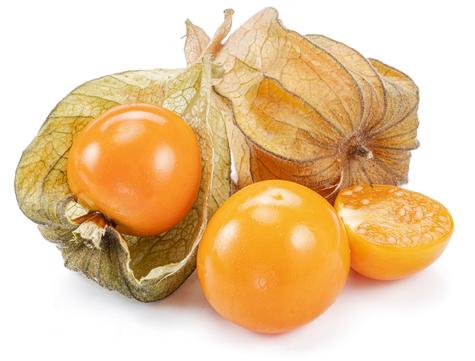 El aguaymanto ayuda a disminuir el envejecimiento de las células. El aguaymanto ayuda a disminuir el envejecimiento de las células.