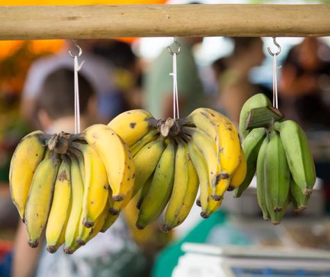 El mejor truco para mantener los plátanos frescos por más tiempo es colgándolos.    El mejor truco para mantener los plátanos frescos por más tiempo es colgándolos.