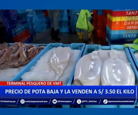 El kilo de la pota disminuye. Foto: Panamericana televisión   