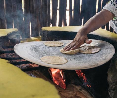 Tiene proteínas, vitaminas y minerales.   