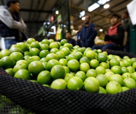 El preció del limón se incrementó casi el doble.   
