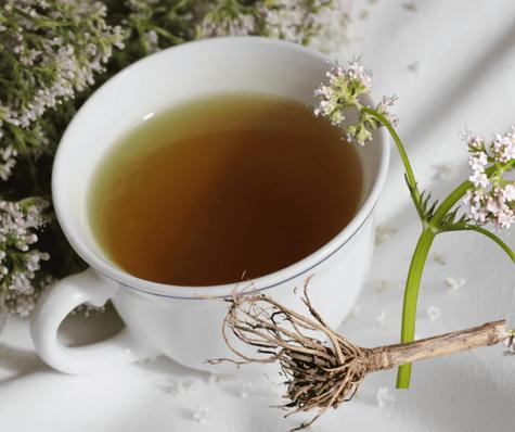 Valeriana. Valeriana.