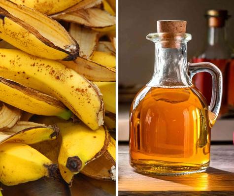 Fertilizante casero para las plantas.   