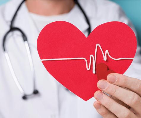 Favorece la salud del corazón.   