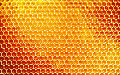 Así luce panal de abeja lleno de miel. El consumo de miel debe hacerse con moderación, y sabiendo el origen, para garantizar que sea de calidad.<br><br>   