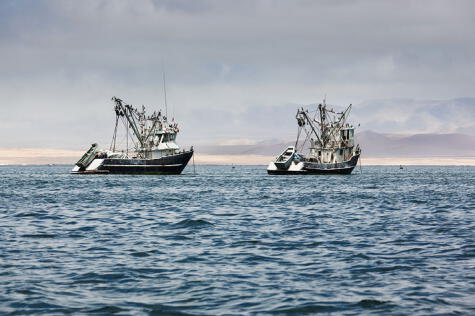 La pesca debe ser controlada y normada por evidencia, según los estudios del Imarpe.   