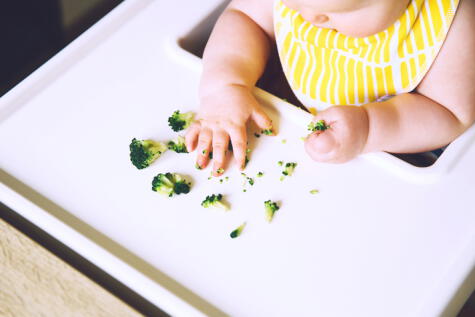 Desde los seis meses, los bebés ya están listos para sus primeros alimentos sólidos.    