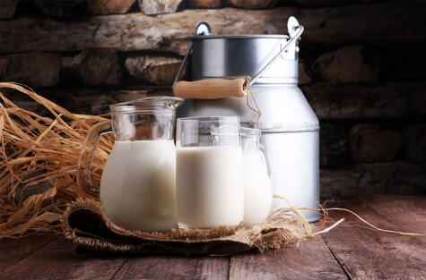 La leche es un alimento muy nutritivo, pero requiere cuidados especiales para su consumo humano. 