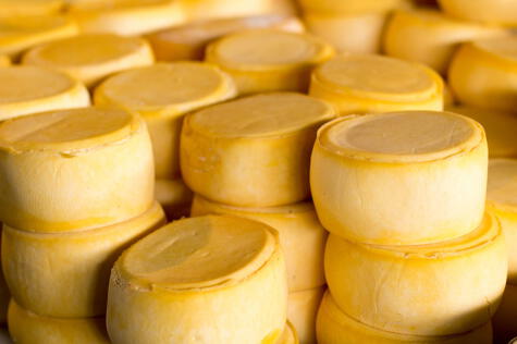 El queso andino es de tipo suizo: ligeramente curado.   