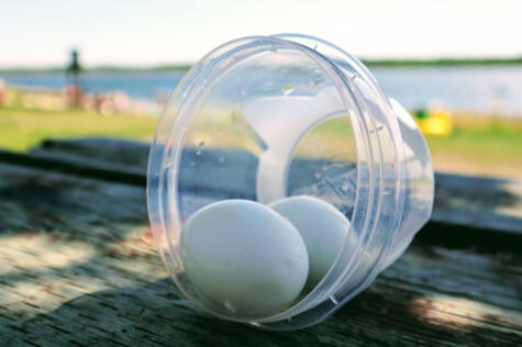 Nunca dejes los huevos cocidos más de dos horas sin refrigerar.   