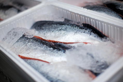 Los pescados deben mantenerse refrigerados a lo largo de toda la cadena de suministro de alimentos.    