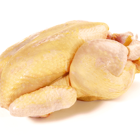Pollo de color amarillo   