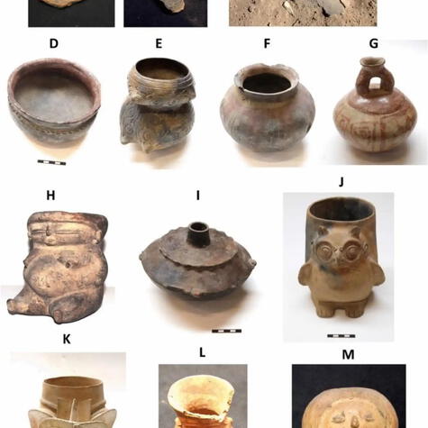  <br>Se analizaron cerámicas para determinar el origen del cacao.    